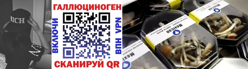 Купить  Смоленск  Псилоцибиновые грибы Psilocybine cubensis 